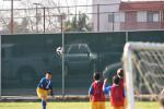 C-Elephants  0052_resize